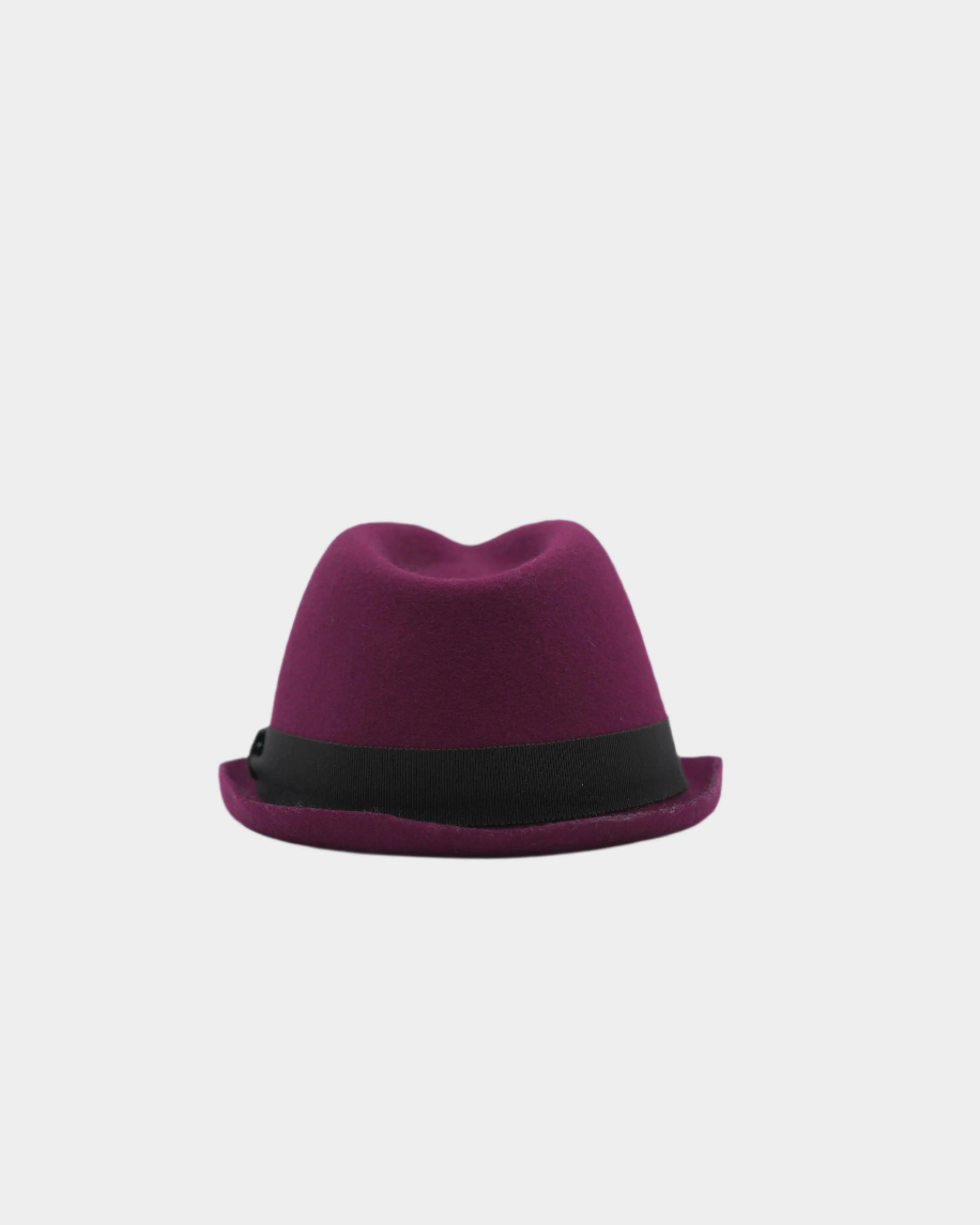 Fedora Felt Hat